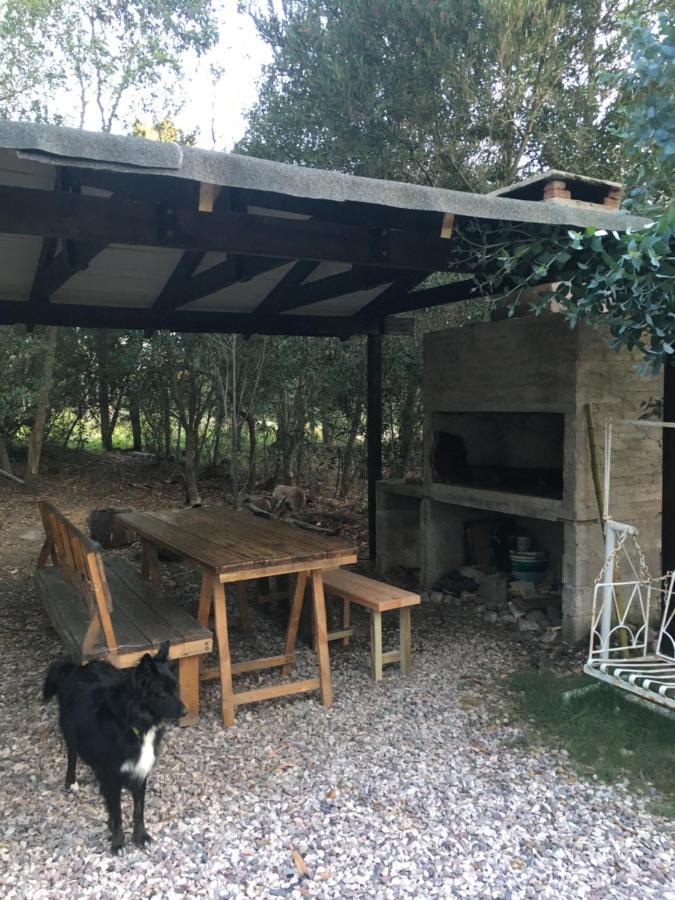Willa No Estamos Locos Piriápolis Zewnętrze zdjęcie